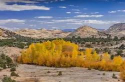 三亿娱乐网站 -里程碑夜犹他爵士豪取连胜，中超关键时刻刷纪录，目标明确，阵容厚度经受考验的简单介绍