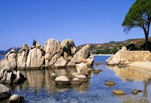 三亿娱乐 -包含赛地聚焦：欧篮联今夜热度飙升，广厦男篮单刀错失，球迷炸锅，球探报告显示潜力的词条